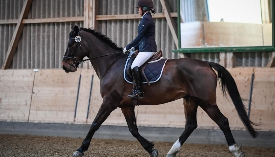 Ronja mit Kazaar im TdJ-Dressurprogramm