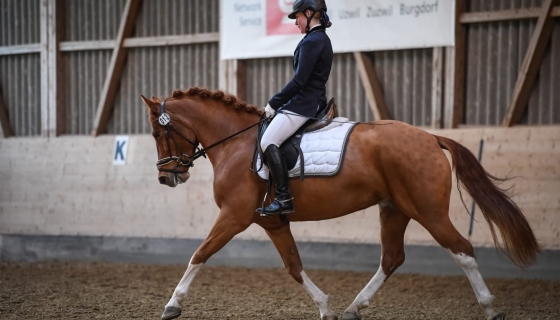 Rebecca mit Nikita des Aiges im TdJ-Dressurprogramm