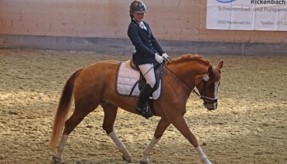 Rebecca mit Nikita des Aiges im TdJ-Dressurprogramm