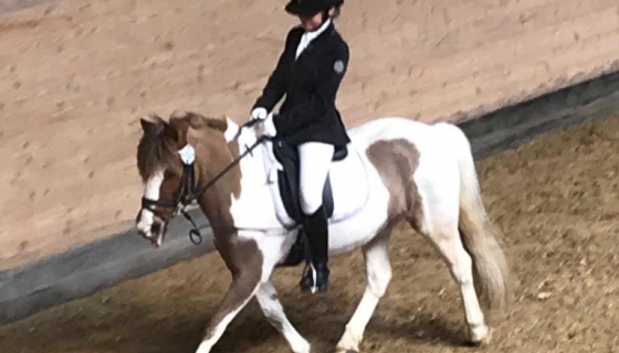 Géraldine mit Gotta Galop im Einsteiger-Dressurprogramm